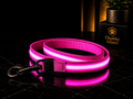 Chubby Albert™️ GlowSafe Leash