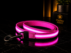 Chubby Albert™️ GlowSafe Leash