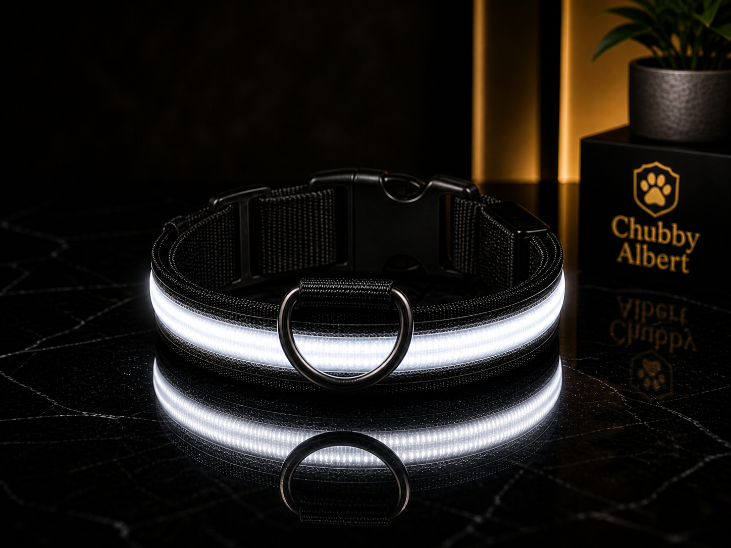 Chubby Albert™️ GlowSafe Collar