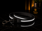 Chubby Albert™️ GlowSafe Leash