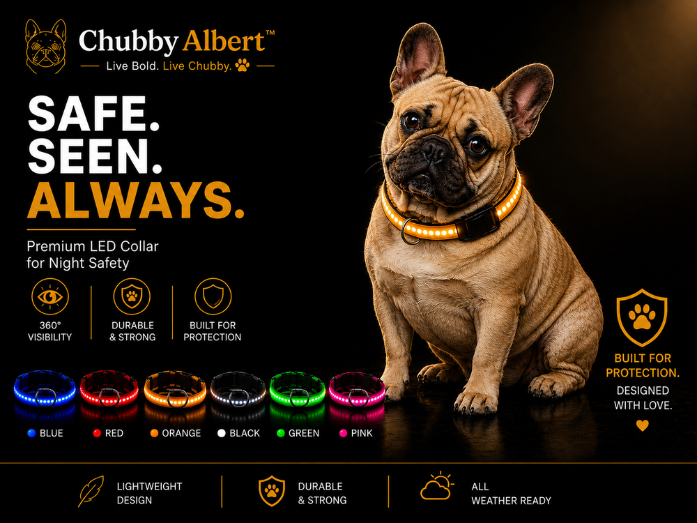 Chubby Albert™️ GlowSafe Collar