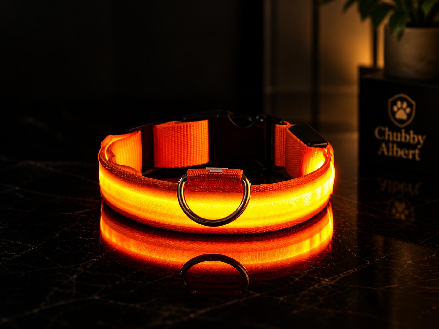 Chubby Albert™️ GlowSafe Collar