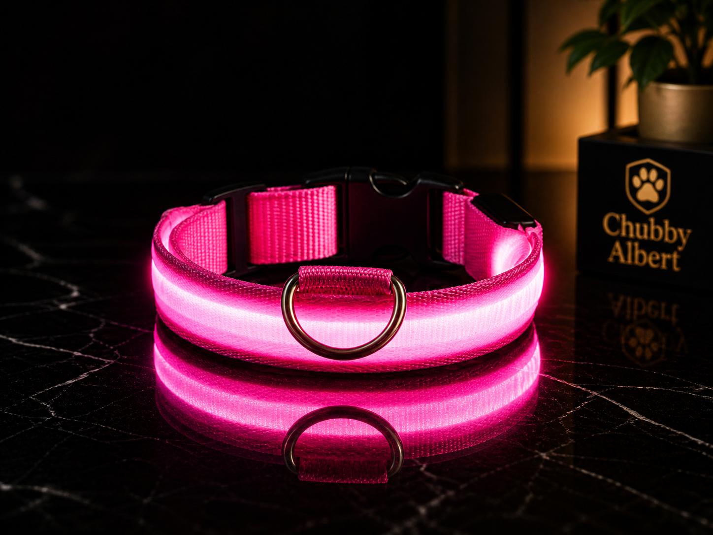 Chubby Albert™️ GlowSafe Collar