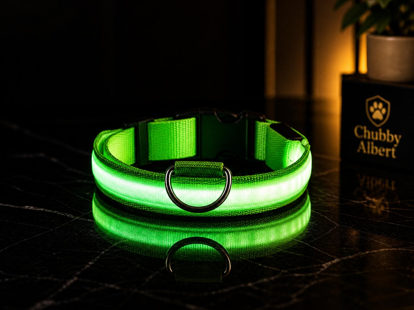Chubby Albert™️ GlowSafe Collar