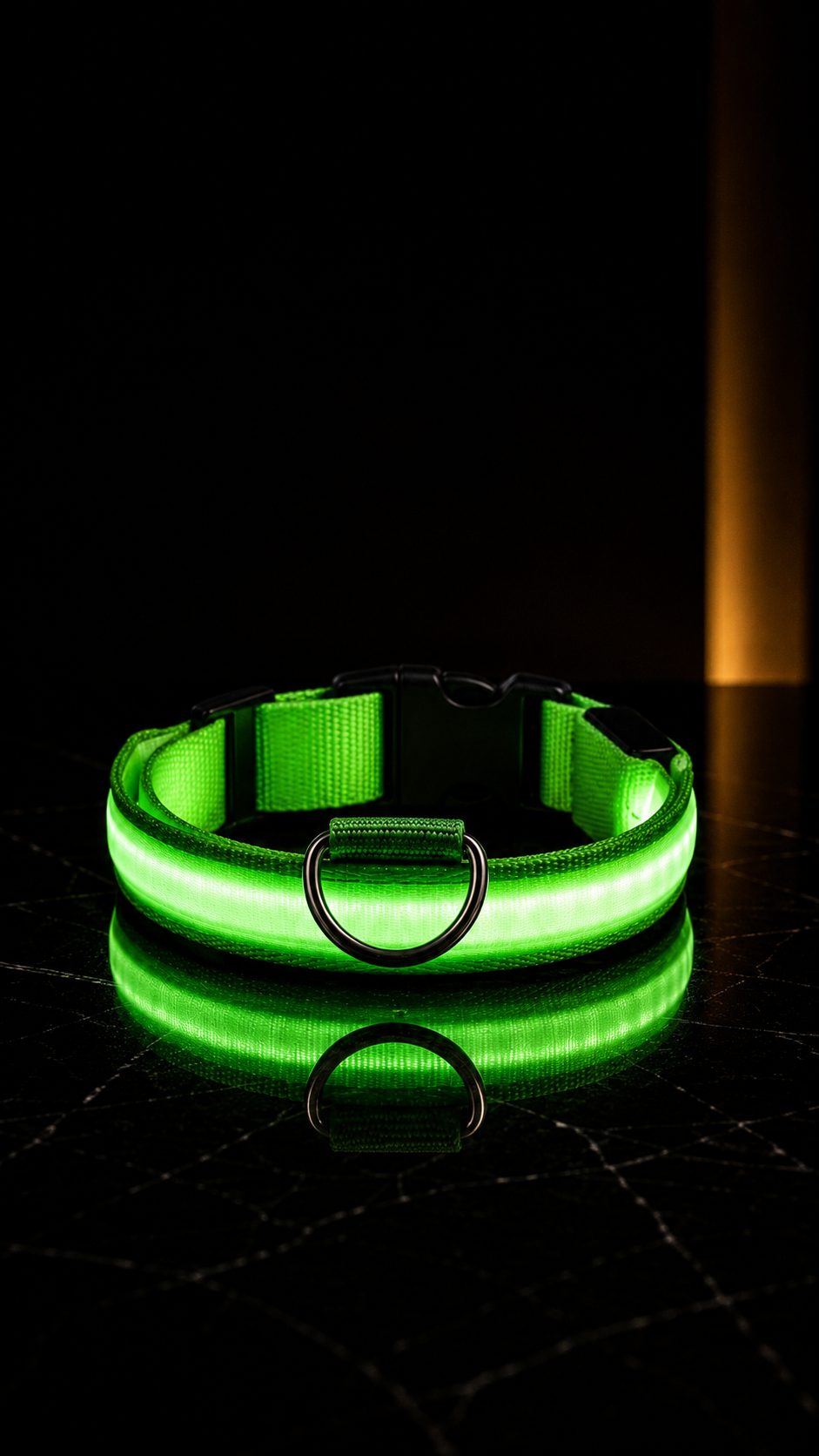 Chubby Albert™️ GlowSafe Collar